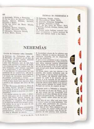 Biblia Compacta Violeta Flores con Indice