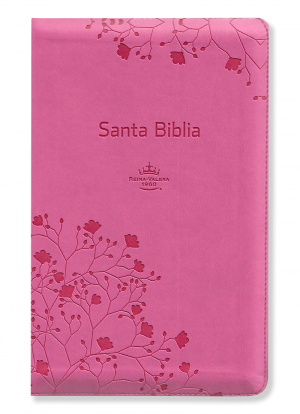 Biblia Tamaño Personal Letra Grande Rosado