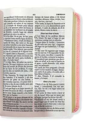 Biblia Tamaño Bolsillo Simil Piel Rosa