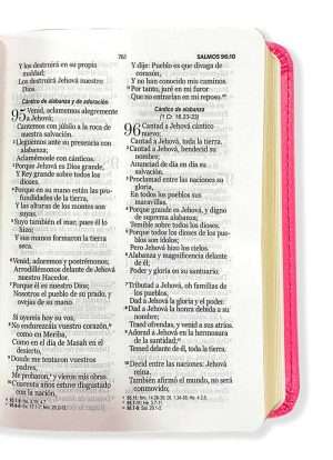 Biblia Tamaño Bolsillo Simil Piel Fucsia