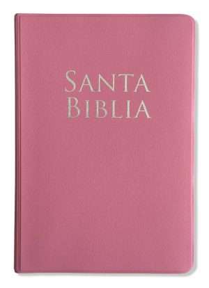 Biblia Letra Grande Tamaño Manual Rosa