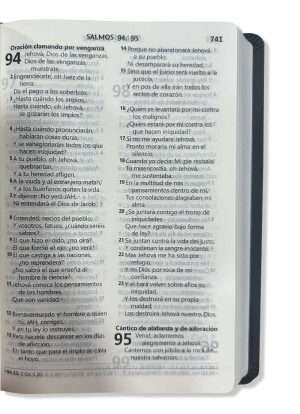 Biblia Letra Grande Gris