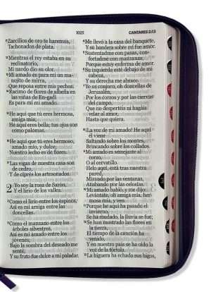 Biblia Letra Super Gigante Morada