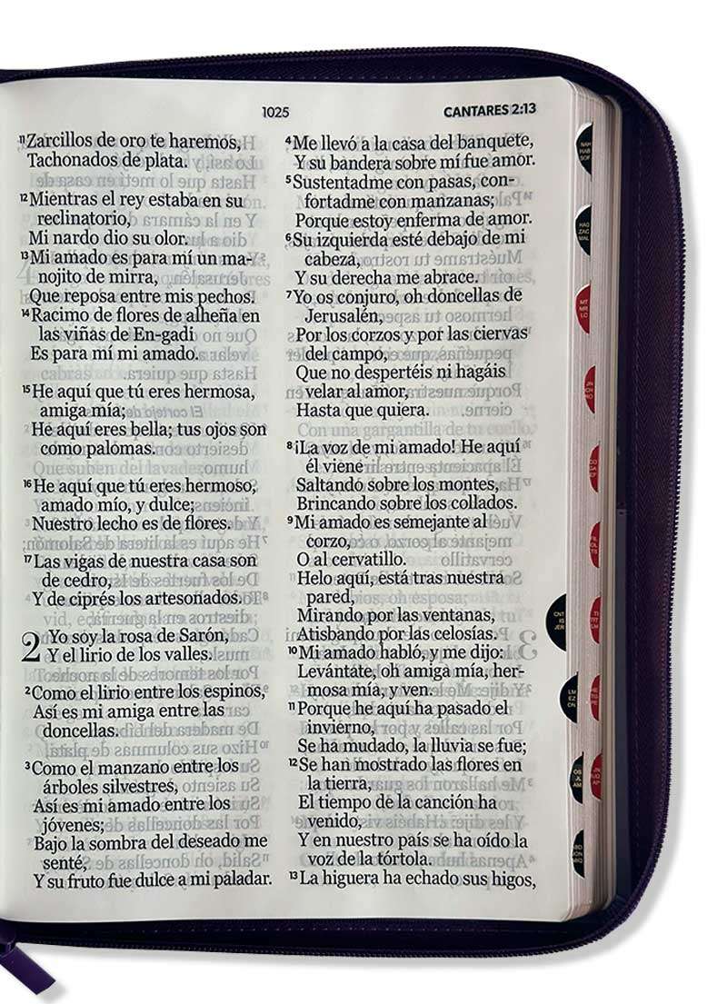 Biblia Letra Super Gigante Morada - Imagen 2