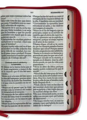 Biblia Letra Super Gigante Coral