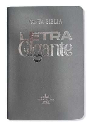 Biblia Letra Gigante Tamaño Manual Gris