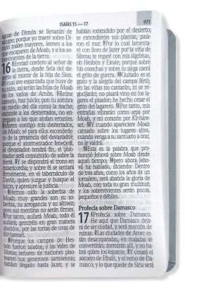 Biblia Letra Gigante Tamaño Manual Gris