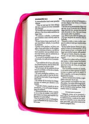Biblia Tamaño Compacta Fucsia