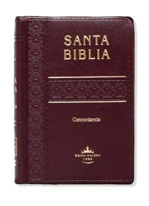 Biblia Tamaño Bolsillo Letra Chica Vinil Vino