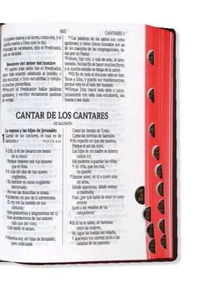 Biblia Tamaño Bolsillo Letra Chica Vinil Negro