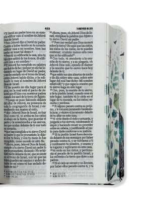 Biblia Fucsia Tamaño Bolsillo