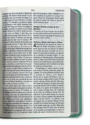 Biblia Compacta de Promesas Menta