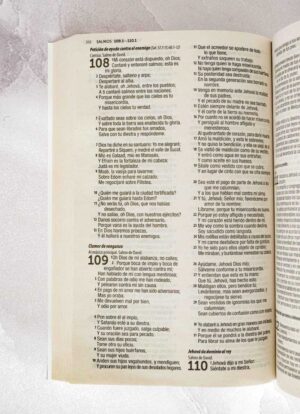 Biblia Economica Azul