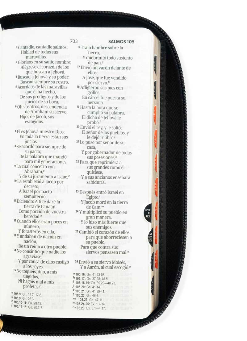 Biblia Chequera Negro Beige Blanco con Índice - Imagen 2