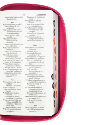 Biblia Chequera Fucsia Gris Claro con Índice