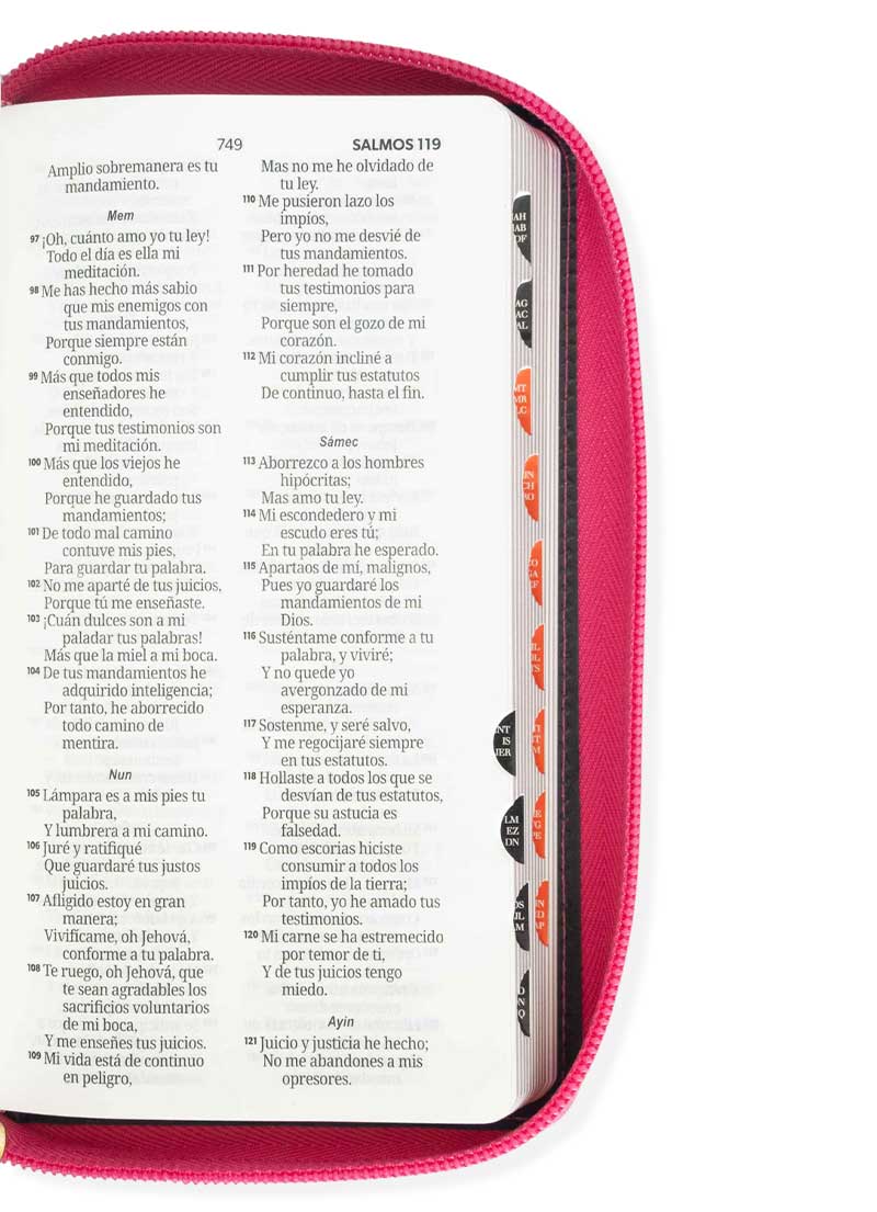 Biblia Chequera Fucsia Gris Claro con Índice - Imagen 2