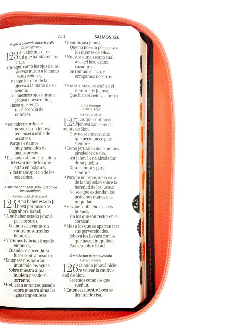 Biblia Chequera Beige Coral con Indice - Imagen 2