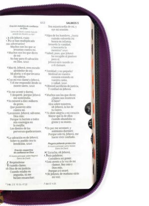 Biblia Chequera Lila Gris Claro con Índice