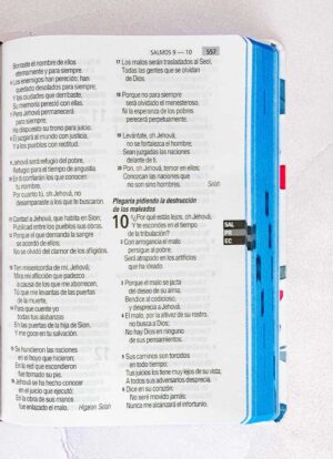 Biblia Dúo Azul/Flores