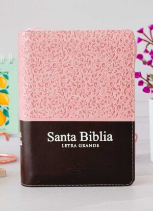 Biblia Letra grande Rosa marron 11 puntos