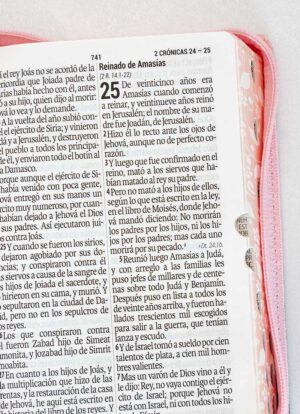 Biblia Letra grande Rosa marron 11 puntos