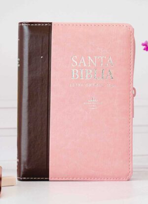 Biblia Rosa Marron Letra Grande 11 pts