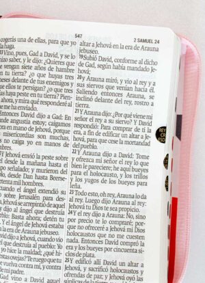 Biblia Rosa Marron Letra Grande 11 pts
