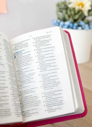 Biblia Mini de Bolsillo Fucsia