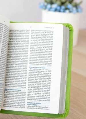 Biblia Mini de Bolsillo Verde