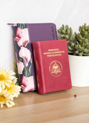 Pack Himnario Fucsia + Biblia Compacta Morada