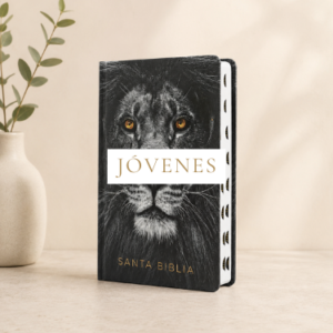 Jóvenes