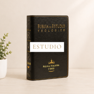 Estudio