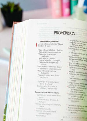 Biblia Amigos por Siempre Tapa dura Celeste