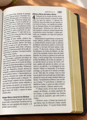 Biblia Manual Letra Grande Negra