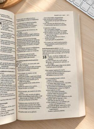 Biblia Línea Económica Azul